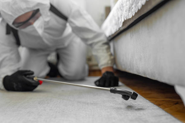 Professional Bed Bug Control technician working in Calwa, CA